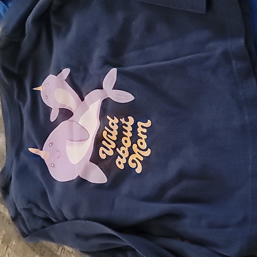 SALE..BUNDLE OF 12 TEE SHIRTS - Picture 10 of 13
